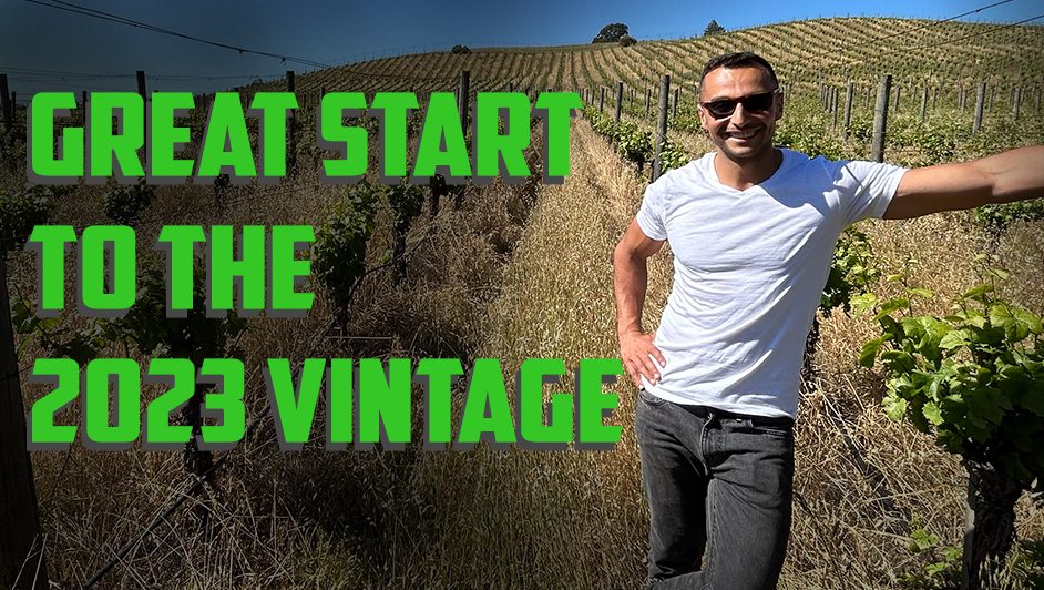 2023 Napa Valley vintage update from Malek Amrani of Vice Wines