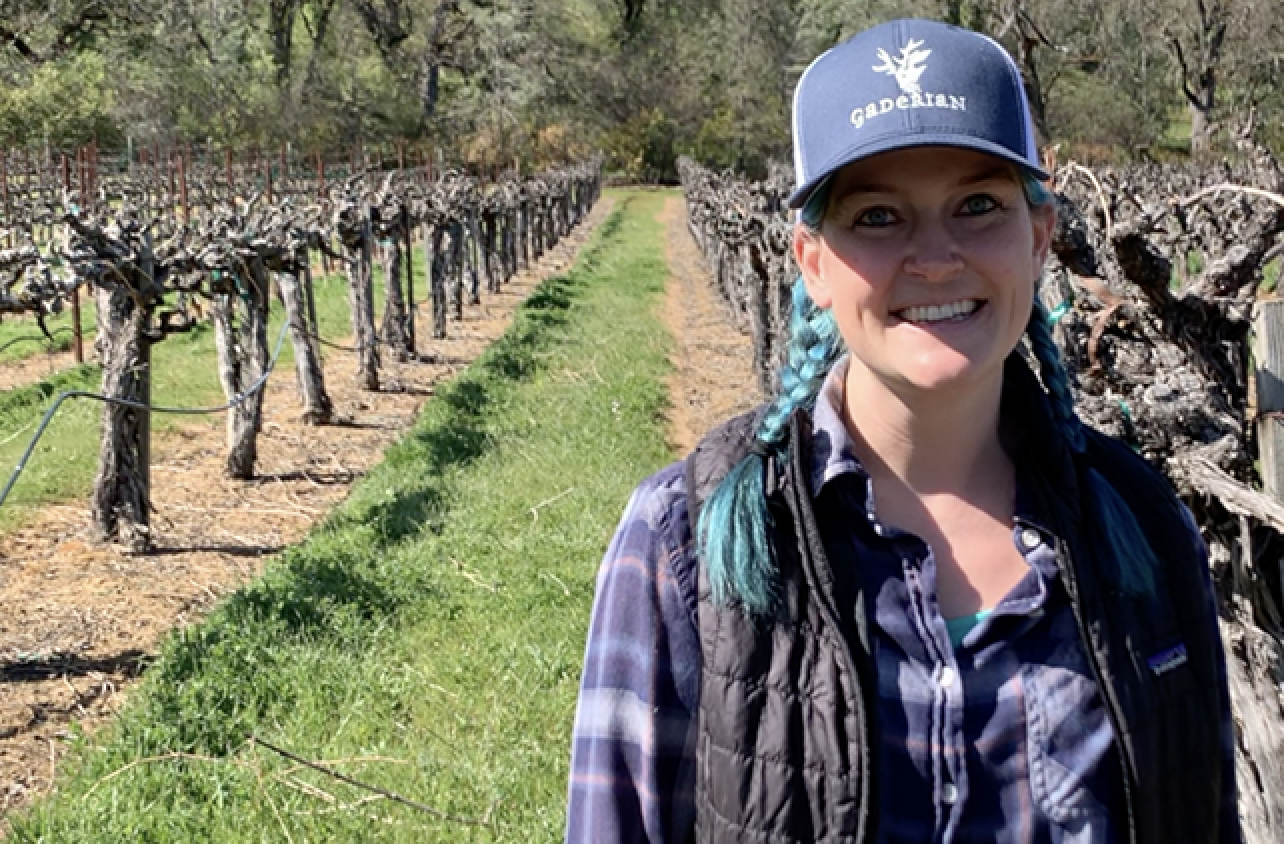 Budbreak in Napa Valley – Update from Gaderian Wines