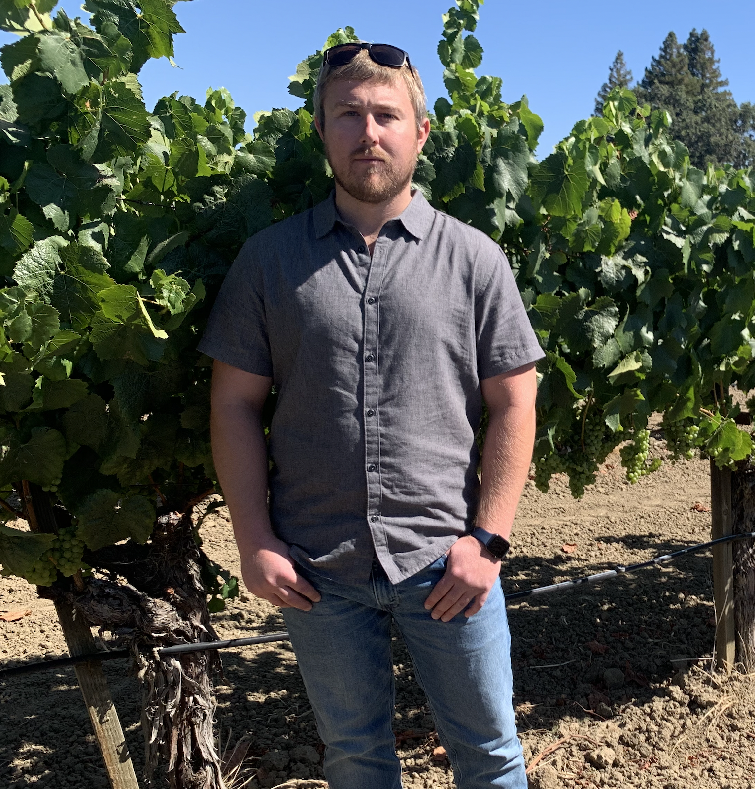 2022 Napa Valley vintage update with Mike Tracy of Trois Noix