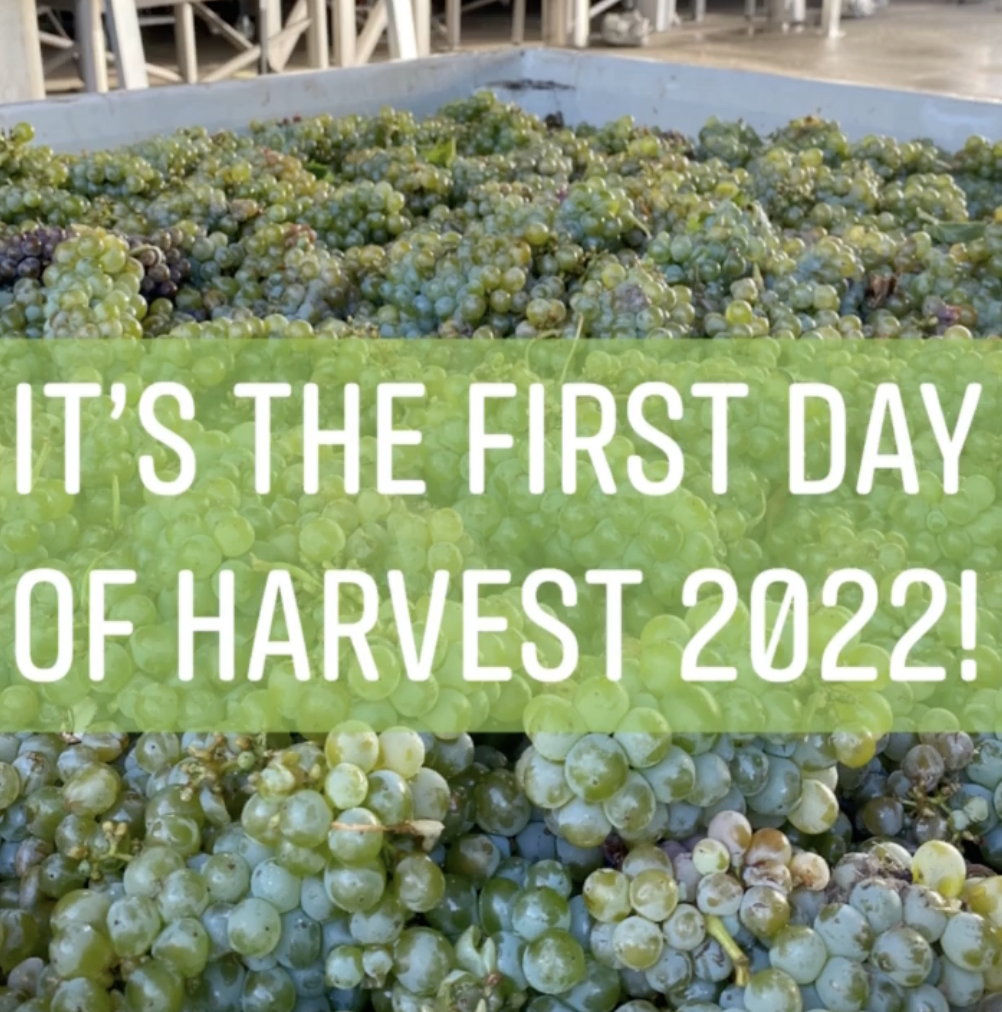 Harvest is on!