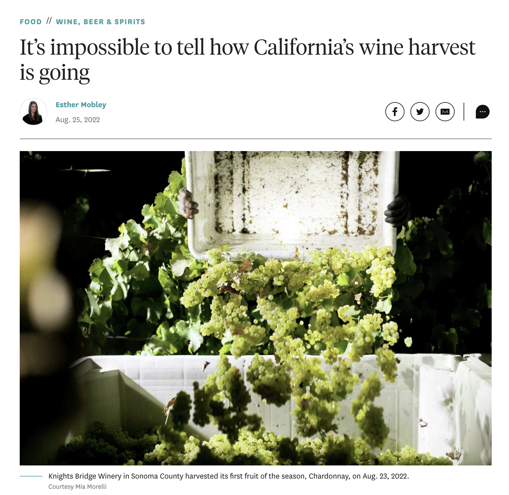 It’s impossible to tell how California’s wine harvest is going by Esther Mobley