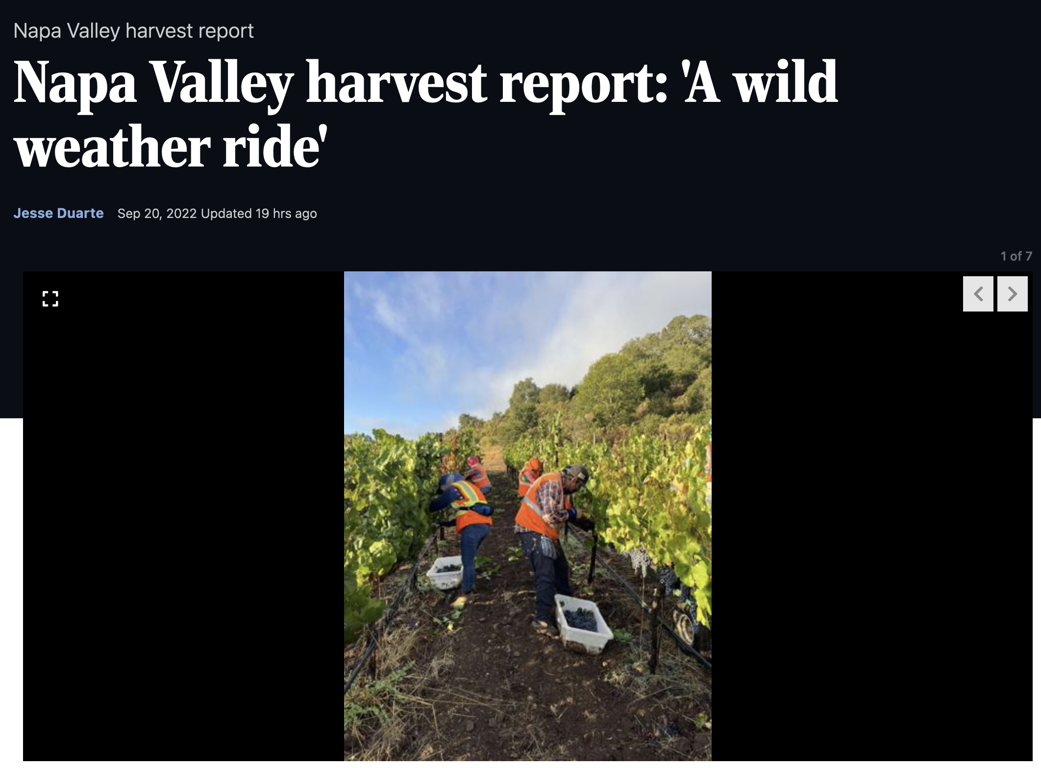 Napa Valley harvest report: ‘A wild weather ride’