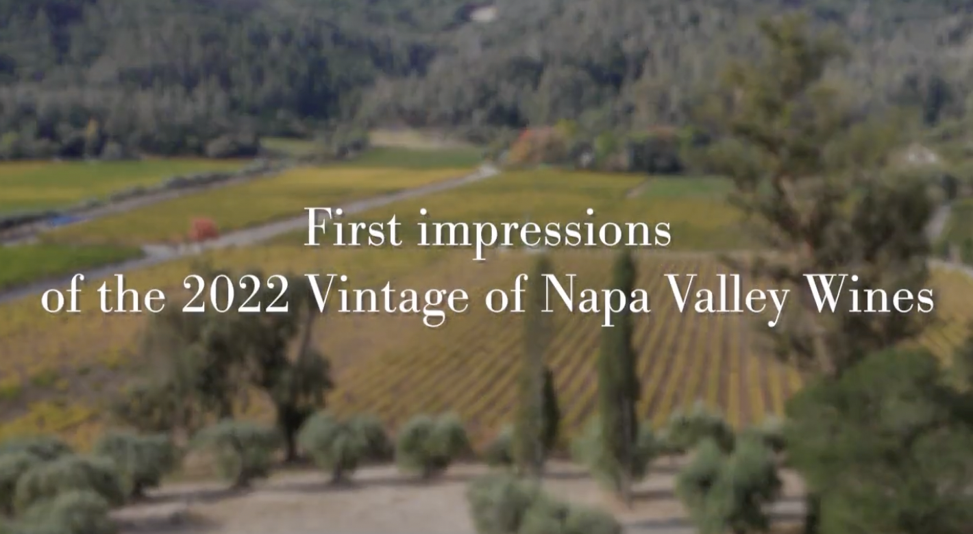 First impressions of the 2022 vintage from Napa Valley