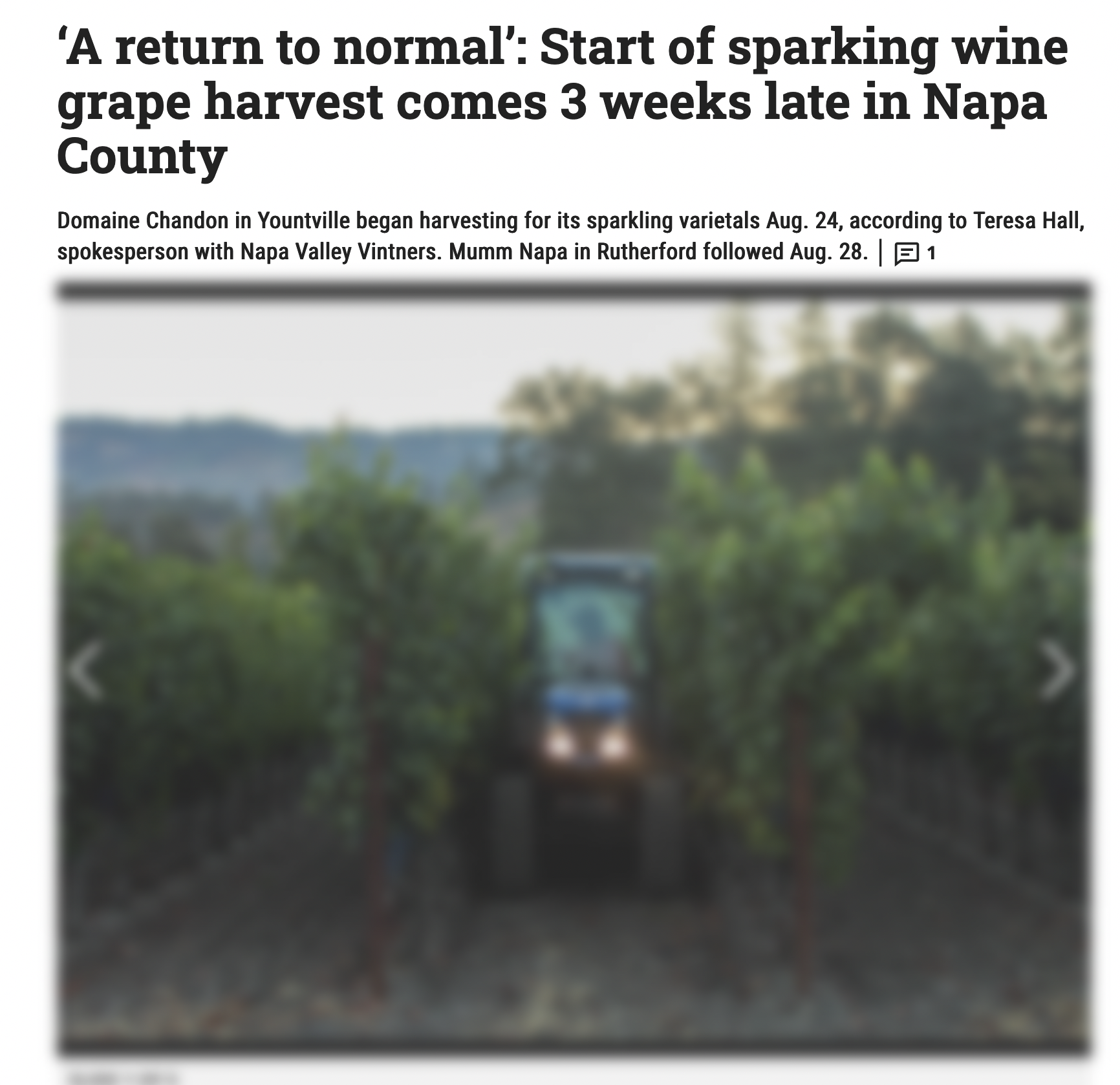 ‘A return to normal’: Start of sparkling wine grape harvest comes 3 weeks late in Napa County