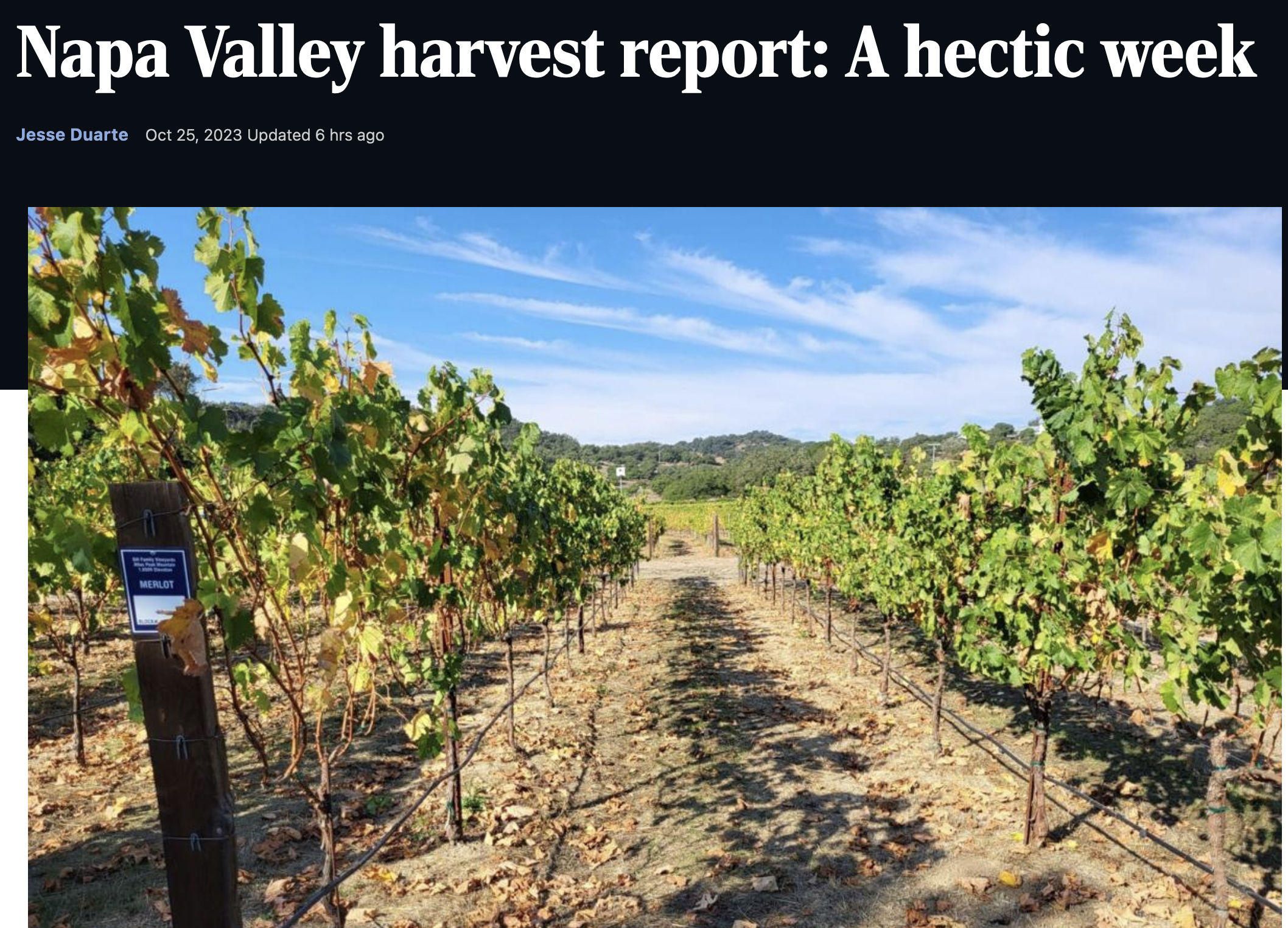 Napa Valley harvest report: A hectic week