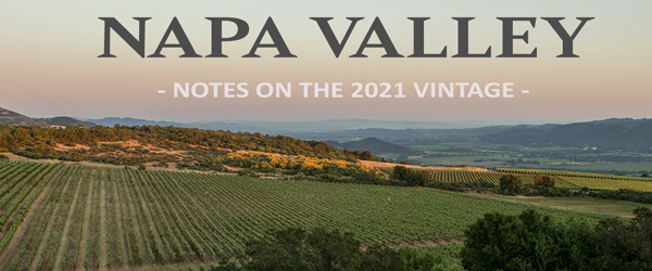 Napa Valley Harvest 2021